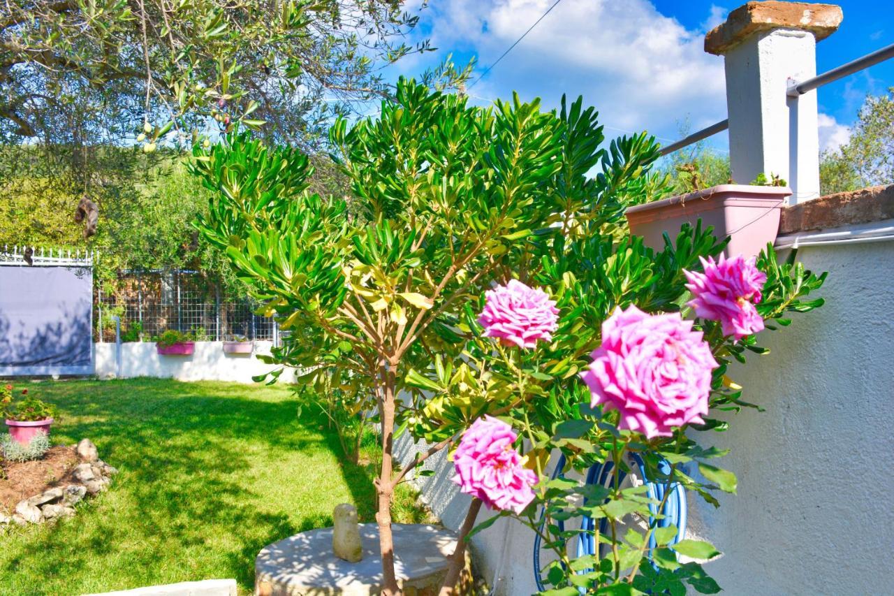 Ninas Cottage Línia 外观 照片